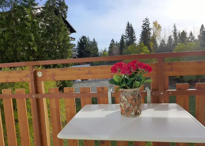 Barzettes-vacances B 455- Entree N-16 By Interhome Crans-Montana