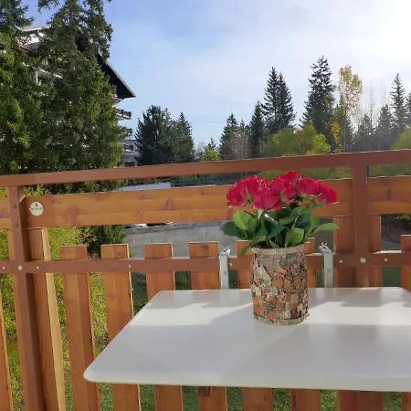 Barzettes-vacances B 455- Entree N-16 By Interhome Crans-Montana